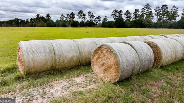 0 Hendrix Bridge Road, Claxton, GA 30417