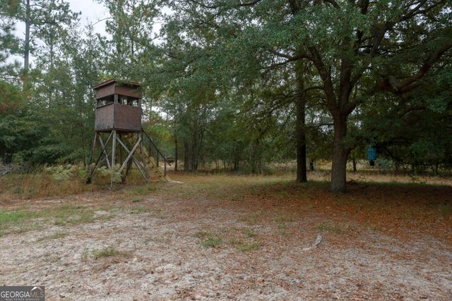 0 Hendrix Bridge Road, Claxton, GA 30417