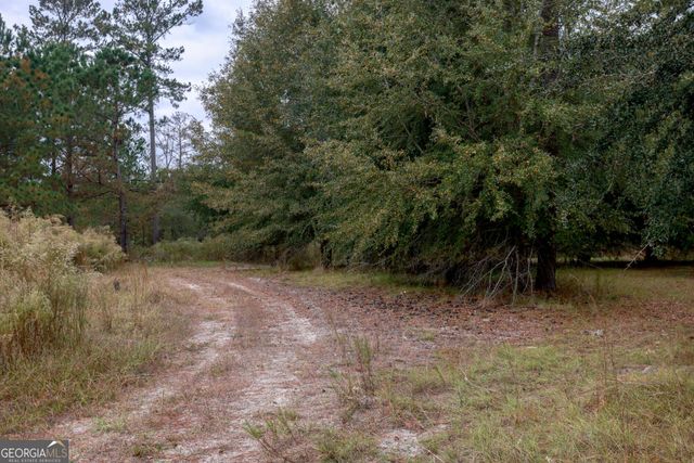 0 Hendrix Bridge Road, Claxton, GA 30417