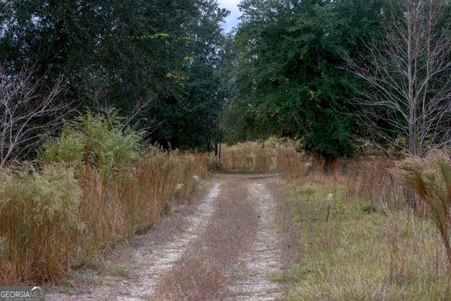 0 Hendrix Bridge Road, Claxton, GA 30417