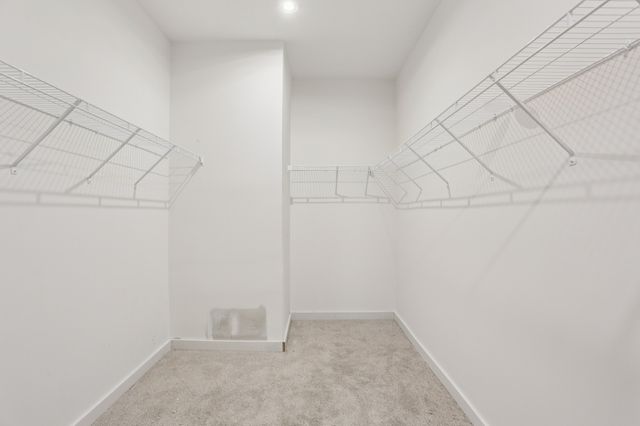 1541 Bear Branch Trce, Columbia, TN 38401