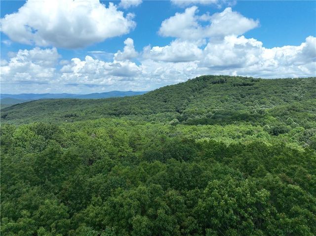 122 Cloudland Drive, Ellijay, GA 30536