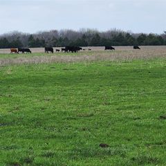 00 W Hinton Street, Tioga, TX 76271