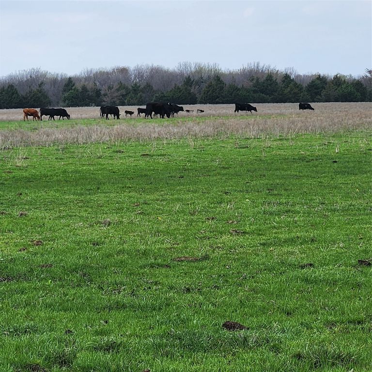 00 W Hinton Street, Tioga, TX 76271