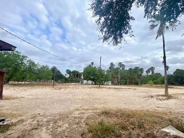 1006 Vela Jackson Avenue B, La Joya, TX 78560