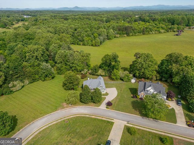 190 Towerview Circle, Mount Airy, GA 30563