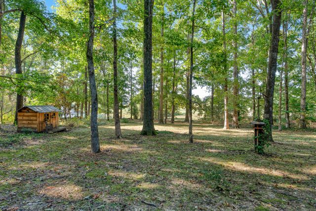 7317 Sugar Camp Hollow Rd, Fairview, TN 37062