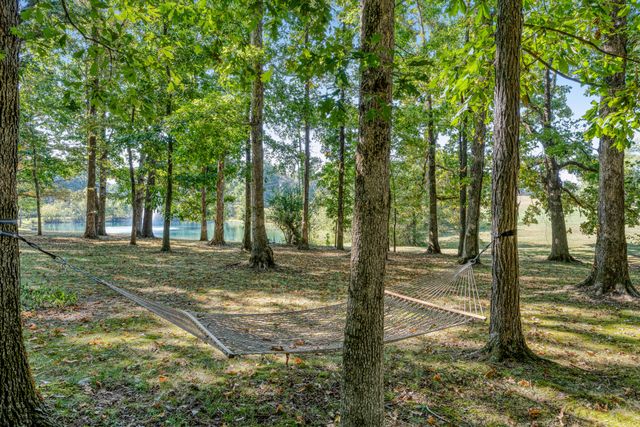 7317 Sugar Camp Hollow Rd, Fairview, TN 37062