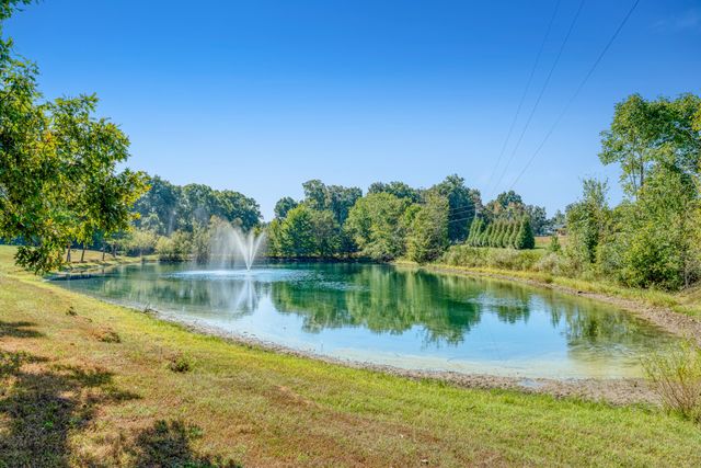 7317 Sugar Camp Hollow Rd, Fairview, TN 37062
