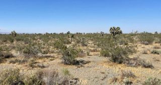 0 Avenue W-14 AVe #W14/25, Llano, CA 93544