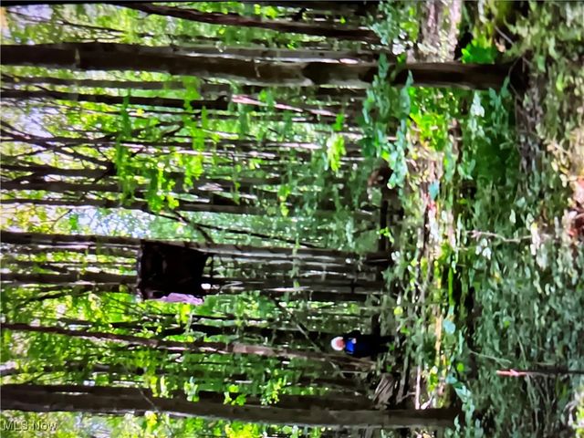 5264 Middle Road, Conneaut, OH 44030