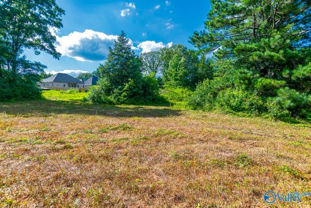 1641 Scott Road, Hazel Green, AL 35750