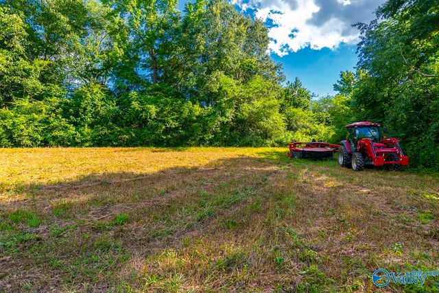 1641 Scott Road, Hazel Green, AL 35750