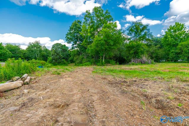 1641 Scott Road, Hazel Green, AL 35750