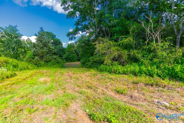 1641 Scott Road, Hazel Green, AL 35750