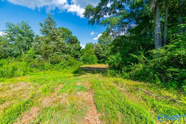 1641 Scott Road, Hazel Green, AL 35750