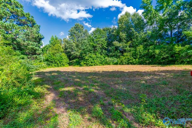 1641 Scott Road, Hazel Green, AL 35750