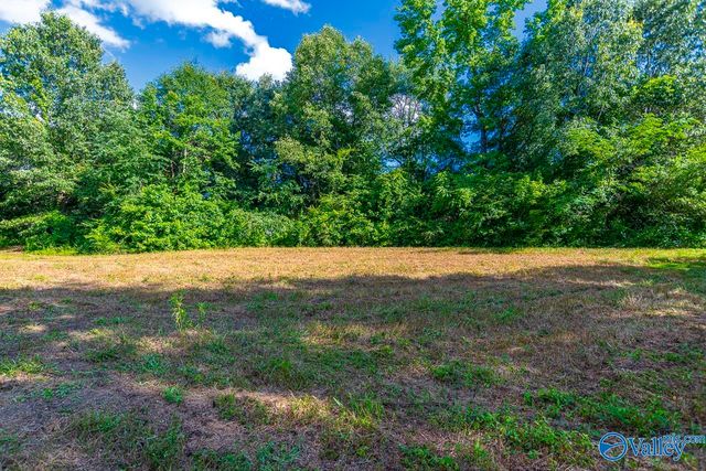 1641 Scott Road, Hazel Green, AL 35750