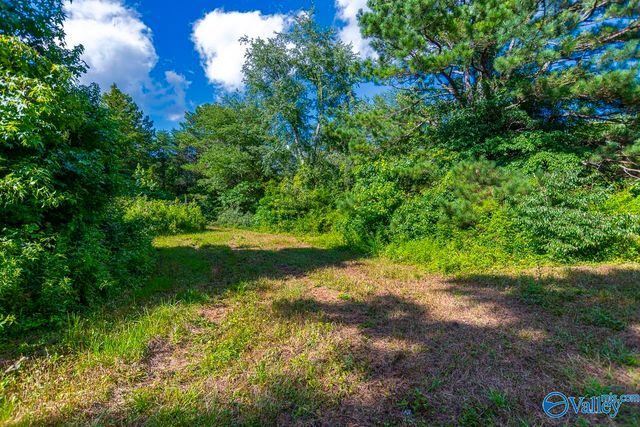 1641 Scott Road, Hazel Green, AL 35750