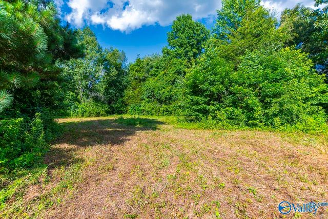 1641 Scott Road, Hazel Green, AL 35750