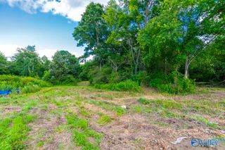 1641 Scott Road, Hazel Green, AL 35750