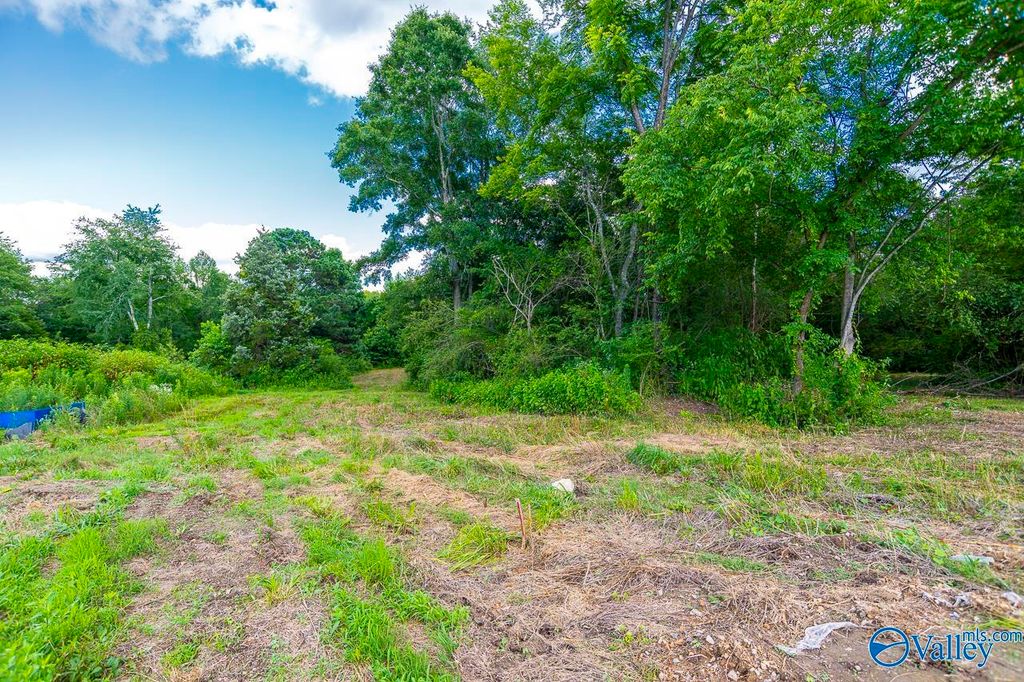 1641 Scott Road, Hazel Green, AL 35750