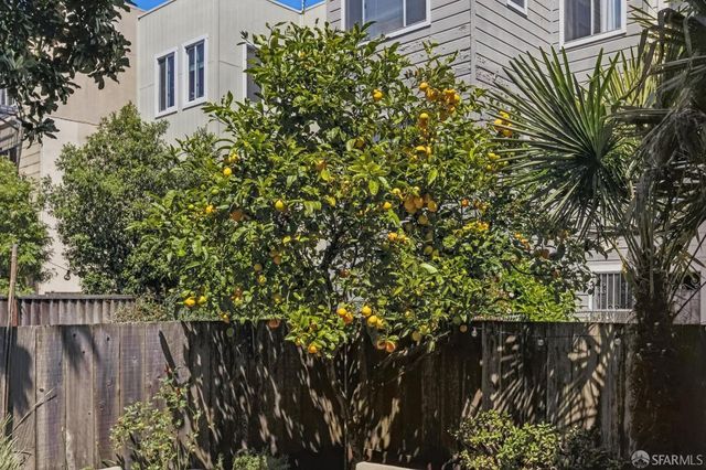 1024 Oak Street, San Francisco, CA 94117