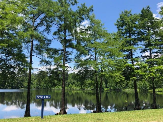 518 Bedias Creek Drive, Conroe, TX 77304
