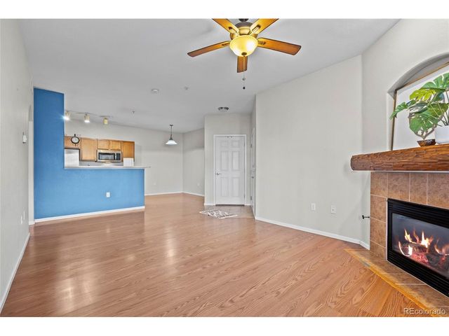 10805 Twenty Mile Rd 104, Parker, CO 80134