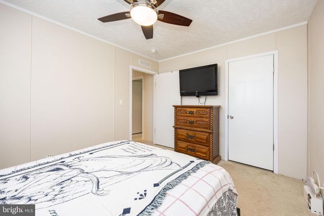 35065 BRACKEN CT, Pittsville, MD 21850