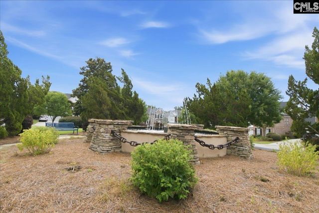 805 Boatswain Loop, Chapin, SC 29036