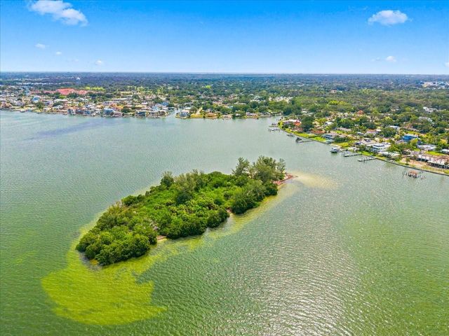 111 SHORE DRIVE, Dunedin, FL 34698