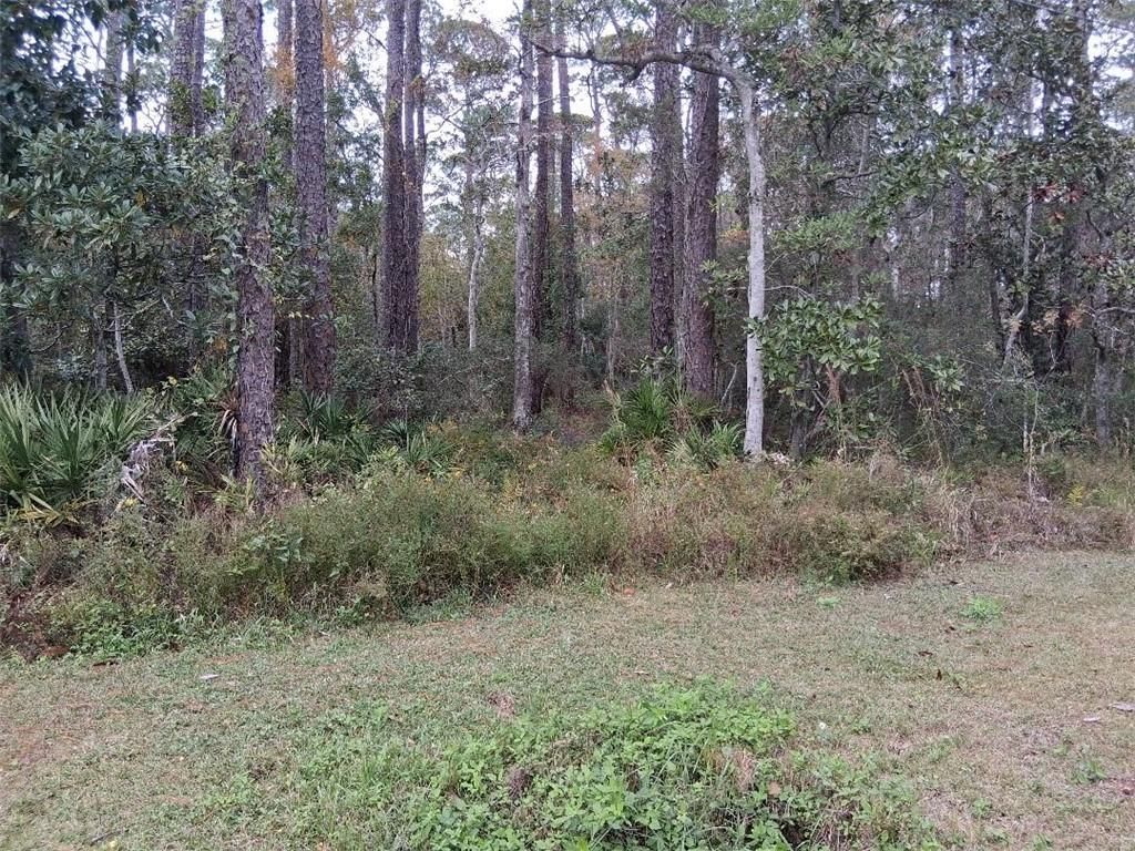 139 Narvaez Street, Dauphin Island, AL 36528 — photo 2