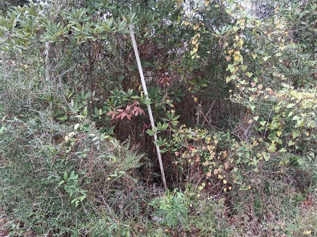 139 Narvaez Street, Dauphin Island, AL 36528 — photo 5