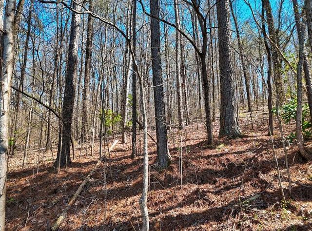 1728 Spring View Lane, Chattanooga, TN 37421