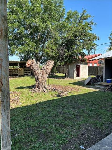 8405 Azucena Street, Donna, TX 78537