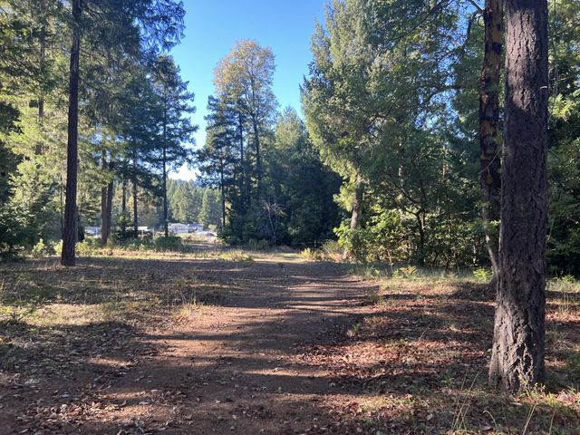 1471 Forest Service Rd. 3s16 Road, Kettenpom, CA 95595