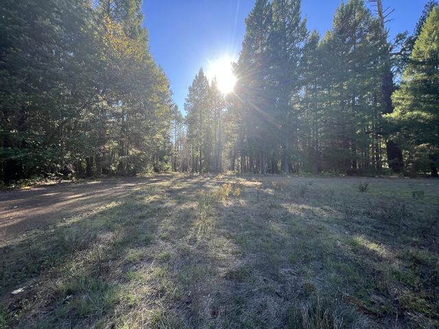 1471 Forest Service Rd. 3s16 Road, Kettenpom, CA 95595