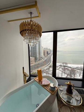 505 N Lake Shore Drive 2017, Chicago, IL 60611