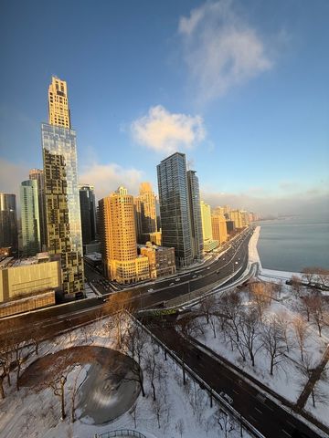 505 N Lake Shore Drive 2017, Chicago, IL 60611