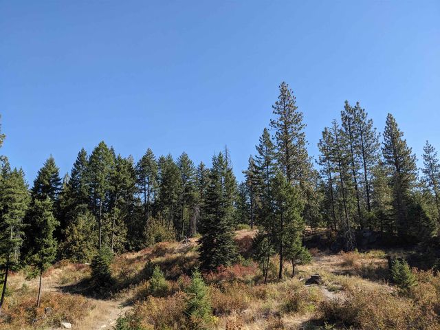 NKN Lot 1 Veit Rd, Newport, WA 99156