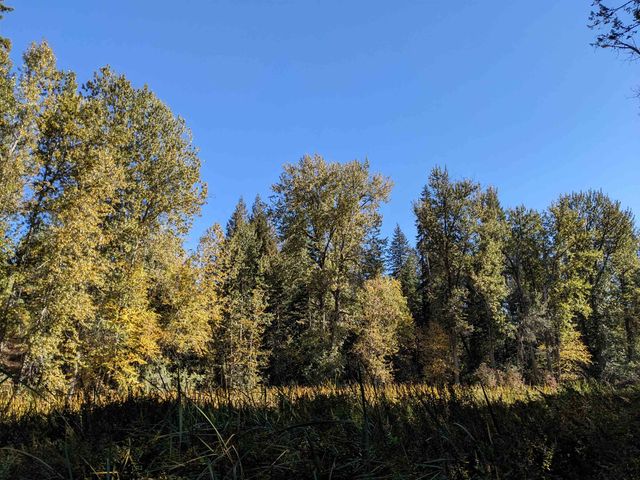 NKN Lot 1 Veit Rd, Newport, WA 99156