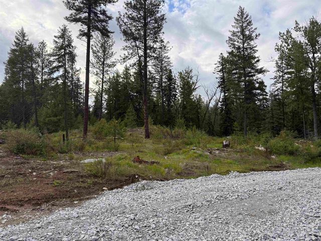 NKN Lot 1 Veit Rd, Newport, WA 99156