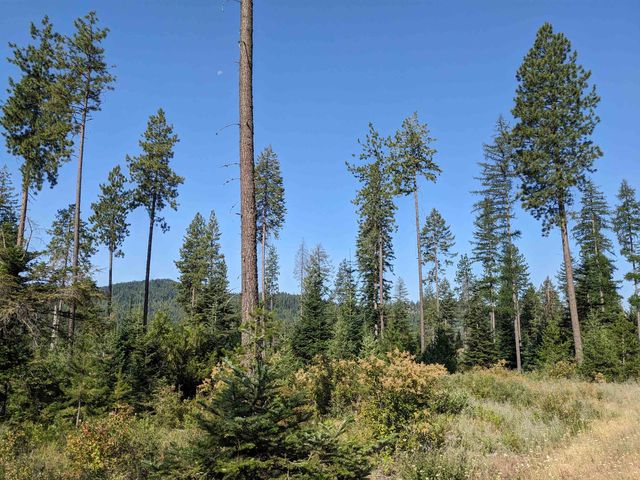 NKN Lot 1 Veit Rd, Newport, WA 99156