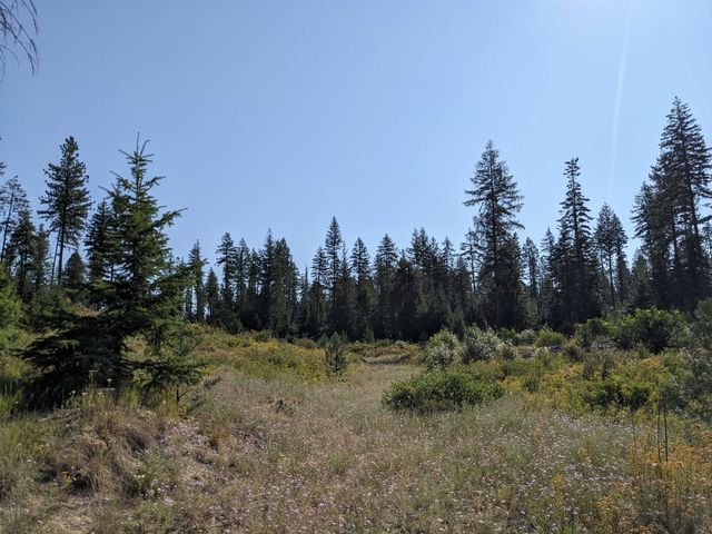 NKN Lot 1 Veit Rd, Newport, WA 99156