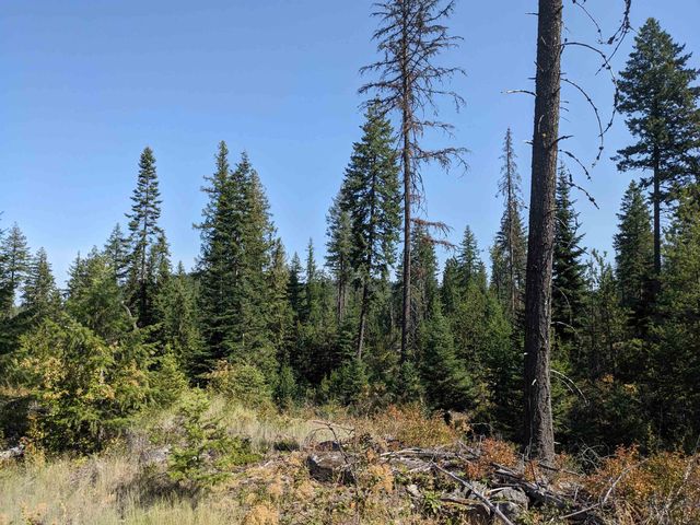 NKN Lot 1 Veit Rd, Newport, WA 99156