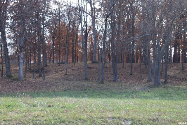 000 Birdie Drive, Mt Vernon, IL 62898