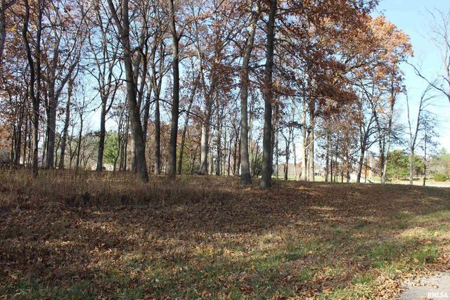 000 Birdie Drive, Mt Vernon, IL 62898