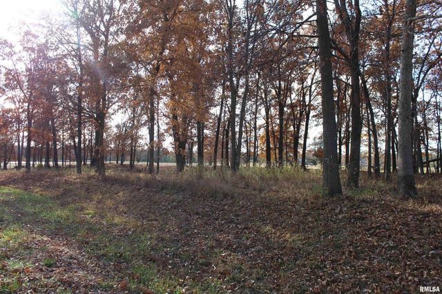 000 Birdie Drive, Mt Vernon, IL 62898