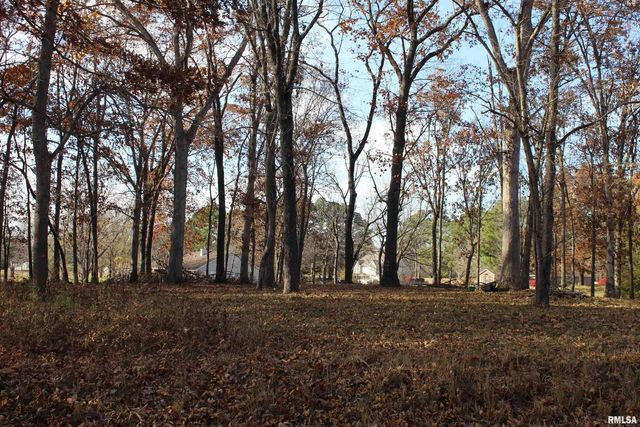 000 Birdie Drive, Mt Vernon, IL 62898